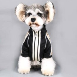 2020 Dog Coat Spring Autumn Pet Clothing Small Designer Dog Clothes www.cattoyfactory.com