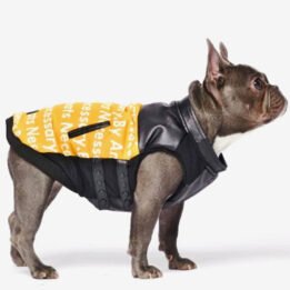 Pet Dog Clothes Vest Padded Dog Jacket Cotton Clothing for Winter www.cattoyfactory.com