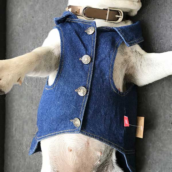 Pet Cowboy Skirt Amazon Hot Dog Clothes Dog Denim Skirt 06-0206