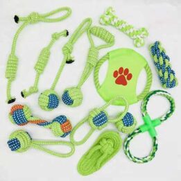 www.cattoyfactory.com