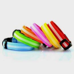 Pet Dog Collar: Led Safety Light-up Flashing Glow	 06-1206 www.cattoyfactory.com