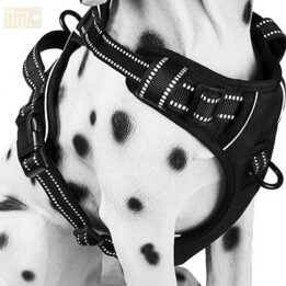 Pet Factory wholesale Amazon Ebay Wish hot large mesh dog harness 109-0001 www.cattoyfactory.com