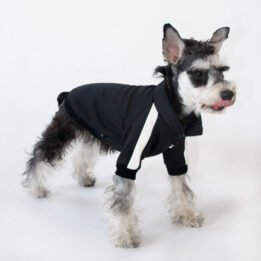 Sport Pet Clothes Custom Fashion Dog BomberJacket Blank Dog Clothes www.cattoyfactory.com