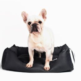 Factory Supply Wholesale Luxury Pet Bed Soft Square Elegant Noble Series Dog Bed www.cattoyfactory.com