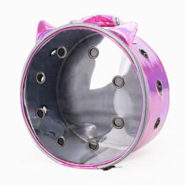 Pet Travel Bag for Cat Cage Carrier Breathable Transparent Window Box Capsule Dog Travel Backpack www.cattoyfactory.com