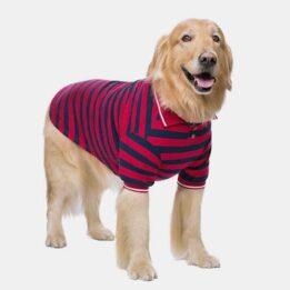 Pet Clothes Thin Striped POLO Shirt Two-legged Summer Clothes 06-1011-1 www.cattoyfactory.com