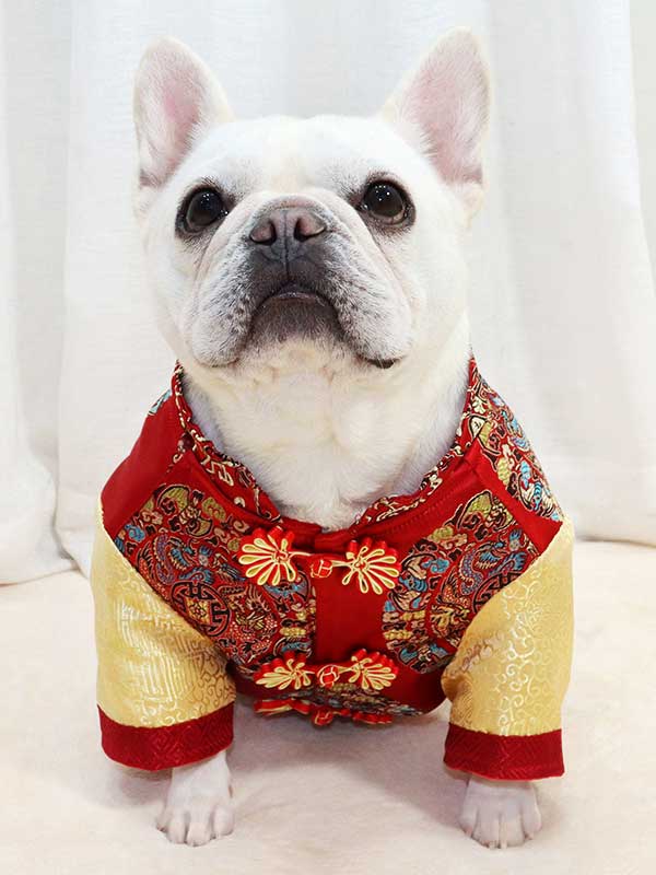 GMTPET French New Year's clothing New Year's clothing Tang suit Chinese style short body fat bulldog Chinese style dog clothes pet coat 107-222011 - Buy Adjustable Dog Pants,French Dog Pants,French Fighting Clothes Fat Dog Pug Adjustable Dog Pants Product on gmtpet.online