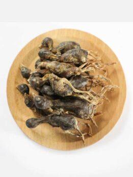 OEM & ODM Pet food freeze-dried Quail for dog and cat 130-072 www.cattoyfactory.com