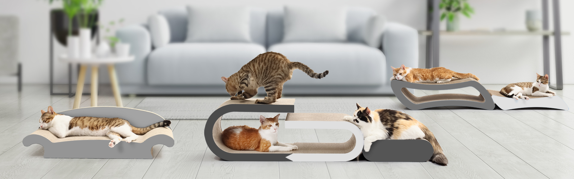Cat Trees Manufacturer - Your Trusted OEM & Wholesale Supplier