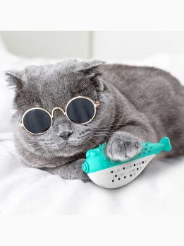 Pufferfish Cat Dental Toy with Catnip, Bell & TPR Teething Bumps